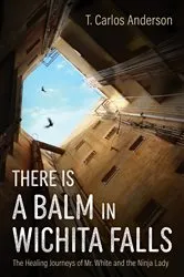 Book cover of There Is a Balm in Wichita Falls by T. Carlos Anderson