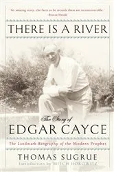 Book cover of There Is a River by Thomas Sugrue