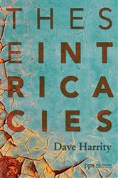 Book cover of These Intricacies by David Harrity