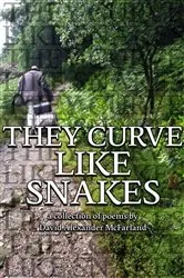 Book cover of They Curve Like Snakes by David Alexander McFarland