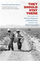 Book cover of They Should Stay There by Alanís Enciso