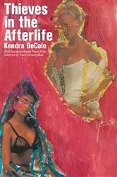Book cover of Thieves in the Afterlife by Unknown
