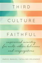 Book cover of Third Culture Faithful by Mario Melendez