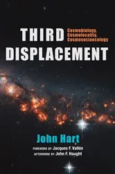 Book cover of Third Displacement by John Hart