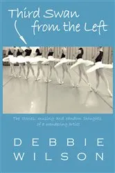 Book cover of Third Swan from the Left by Debbie Wilson