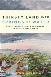 Book cover of Thirsty Land into Springs of Water by Brooke Kathleen Brassard