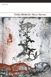 Book cover of This Is Yarrow by Tara Bergin