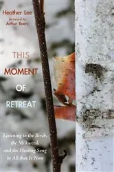 Book cover of This Moment of Retreat by Heather Lee