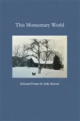 Book cover of This Momentary World by Jody Stewart