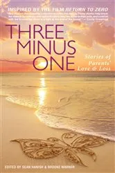 Book cover of Three Minus One by Sean Hanish