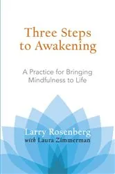 Book cover of Three Steps to Awakening by Larry Rosenberg