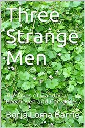 Book cover of Three Strange Men: The Lives of Gandhi, Beethoven and Cervantes by Borja Loma Barrie
