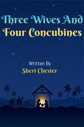 Book cover of Three Wives And Four Concubines by Sheri Chester