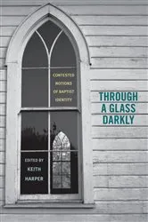 Book cover of Through a Glass Darkly by Karleen Koen