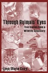 Book cover of Through Animal's Eyes by Lynn Marie Cuny