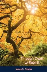 Book cover of Through Death to Rebirth by James S. Perkins