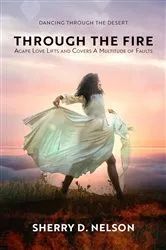 Book cover of Through the Fire by Sharon Mignerey