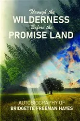 Book cover of Through the Wilderness Before the Promise Land by Bridgette Freeman-Hayes
