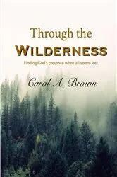 Book cover of Through the Wilderness by Brad Orsted
