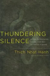 Book cover of Thundering Silence by Thich Nhat Hanh