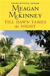 Book cover of Till Dawn Tames the Night by Meagan McKinney
