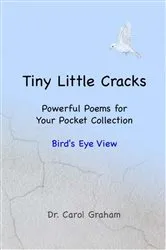 Book cover of Tiny Little Cracks by Dr. Carol Graham