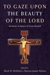 Book cover of To Gaze upon the Beauty of the Lord by Mark W. Birkholz