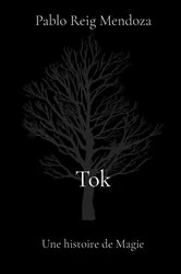 Book cover of Tok by Pablo Reig Mendoza