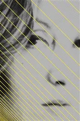 Book cover of Too Much of Life: The Complete Crônicas by Unknown