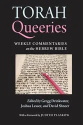 Book cover of Torah Queeries by Gregg Drinkwater