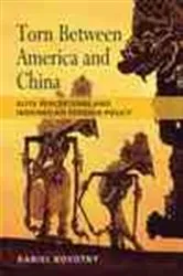 Book cover of Torn between America and China by Daniel Novotny