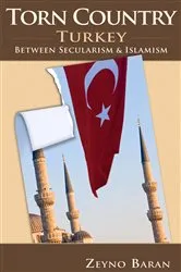 Book cover of Torn Country by Unknown