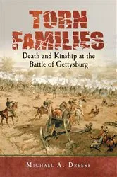 Book cover of Torn Families by Michael A. Dreese