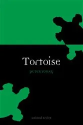 Book cover of Tortoise by Peter Young