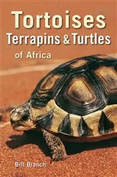 Book cover of Tortoises, Terrapins & Turtles of Africa by Bill Branch