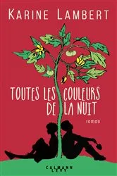 Book cover of Toutes les couleurs de la nuit by Karine Lambert
