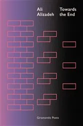 Book cover of Towards the End by Ali Alizadeh