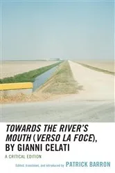 Book cover of Towards the River’s Mouth (Verso la foce), by Gianni Celati by Patrick Barron