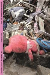Book cover of Toxic Temple by Anna Lerchbaumer