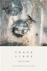 Book cover of Trace Lines by David Bryson