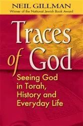 Book cover of Traces of God by Gillman, PhD, Rabbi Neil