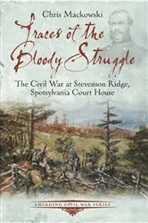 Book cover of Traces of the Bloody Struggle by Chris Mackowski