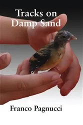 Book cover of Tracks on Damp Sand by Franco Pagnucci
