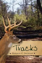 Book cover of Tracks by Diane Lee Wilson