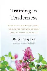 Book cover of Training in Tenderness by Dzigar Kongtrul