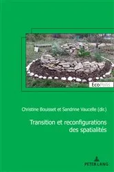 Book cover of Transition et reconfiguration des spatialités by Christine Bouisset