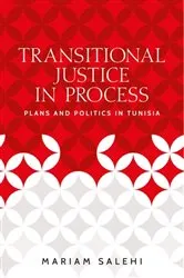 Book cover of Transitional justice in process by Mariam Salehi