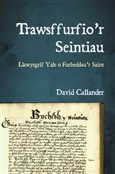 Book cover of Trawsffurfio’r Seintiau by David Callander