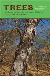Book cover of Trees in Your Pocket by Thomas Rosburg