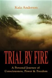 Book cover of Trial by Fire by Damian Peters